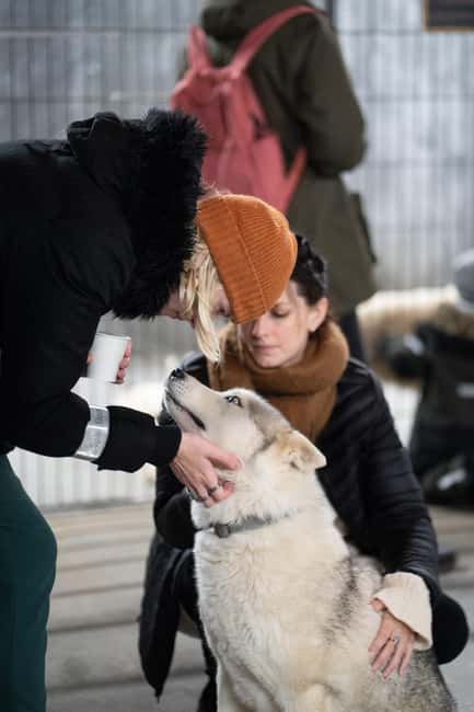 Reykjavík: Husky Kennel Visit with Hot Drinks - Key points worth clocking before you go
