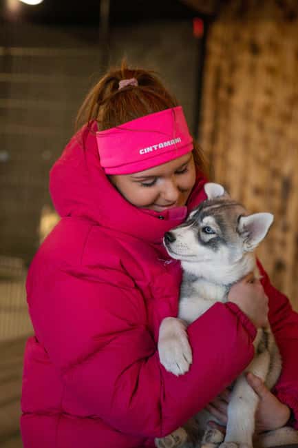 Reykjavík: Husky Kennel Visit with Hot Drinks - Why this 1-hour husky kennel stop works so well near Reykjavík