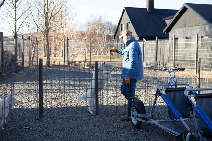 Reykjavík: Husky Kennel Visit with Hot Drinks - Price and value: what $91 buys you for 1 hour