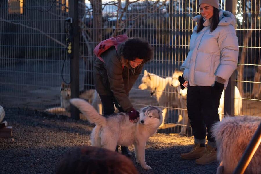 Reykjavík: Husky Kennel Visit with Hot Drinks - Booking checklist: small things that make the day better