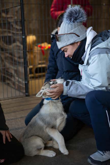 Reykjavík: Husky Kennel Visit with Hot Drinks - Getting to the kennel: meeting point and the one logistics issue