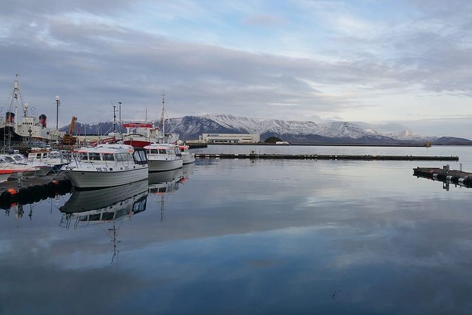 Reykjavik Main Sights and Hidden Spots: A Self-Guided Audio Walk - What This Self-Guided Walk Actually Gives You in Reykjavik