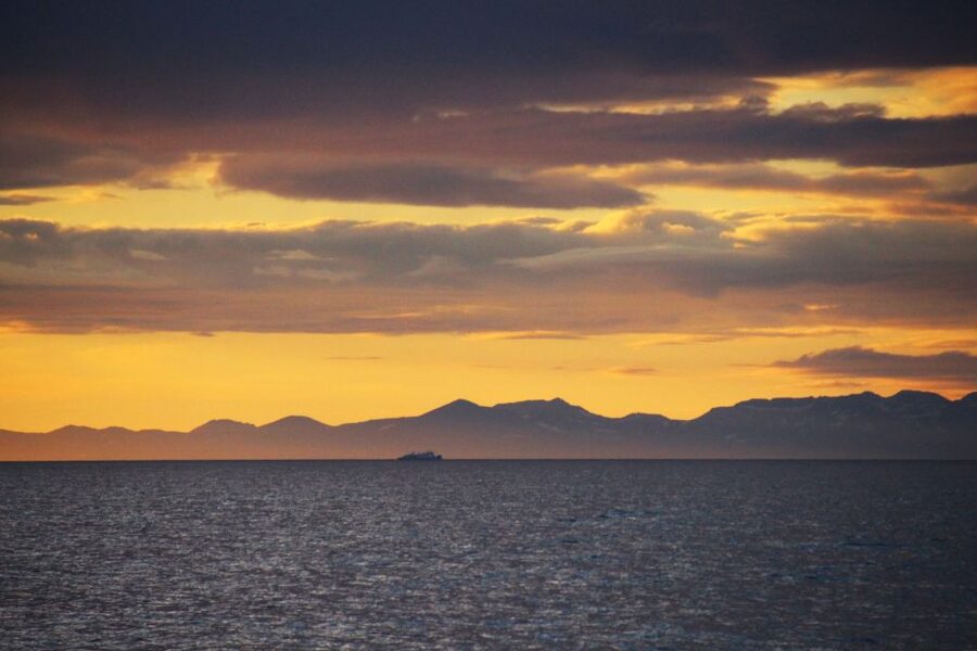 Reykjavík: Midnight Sun Whale Watching Cruise - Who this cruise suits best, and who should think twice