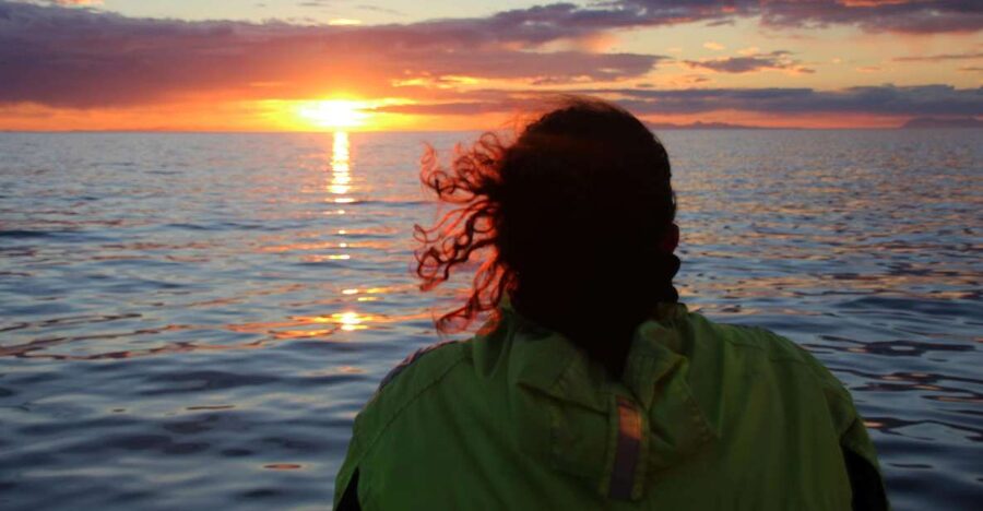 Reykjavík: Midnight Sun Whale Watching Cruise - Overalls and warm layers: how to stay comfortable the whole cruise