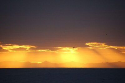 Midnight Sun Whale Watching Cruise