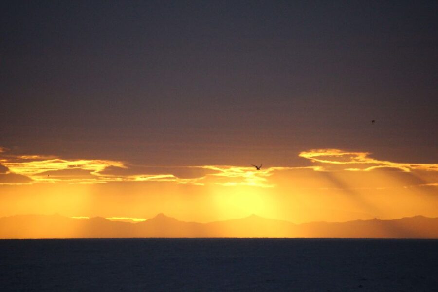 Reykjavík: Midnight Sun Whale Watching Cruise - The Rósin whale watching boat: comfort, views, and onboard basics