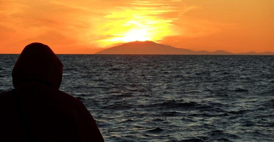 Reykjavik: Midnight Sun Whale Watching Tour - What you might see in 3 to 3.5 hours off Reykjavik