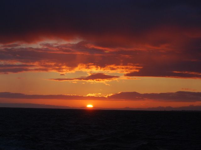 Reykjavik: Midnight Sun Whale Watching Tour - Should you book the Reykjavik Midnight Sun Whale Watching Tour?