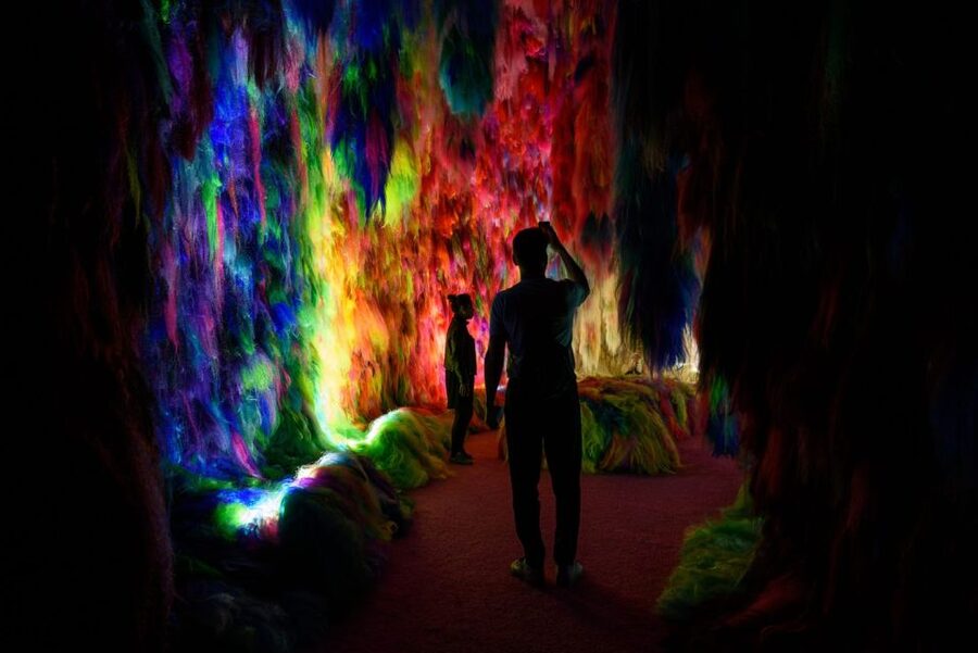 Reykjavík: Multi-Sensory Art Installation Chromo Sapiens - Who will love this, and who might not