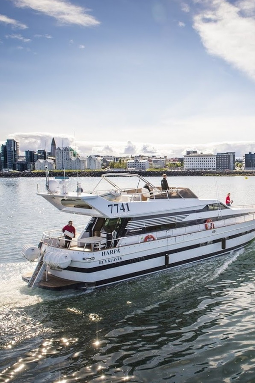 Reykjavík: New Year's Eve Northern Lights Yacht Cruise - Should you book Reykjavik’s New Year’s Eve Northern Lights Yacht Cruise?