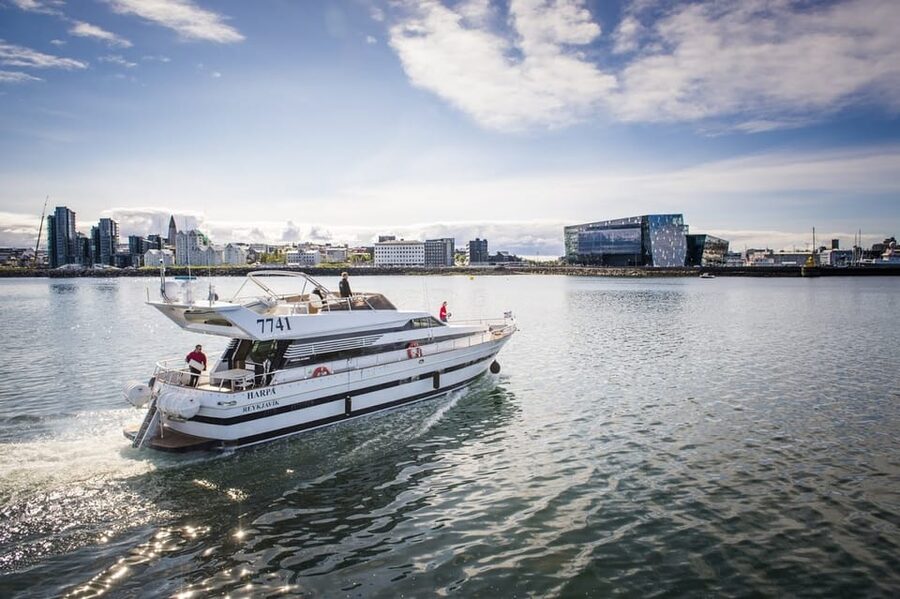 Reykjavík: New Year's Eve Northern Lights Yacht Cruise - Harpa Yachts, guides, and what the 1.5 hours really means