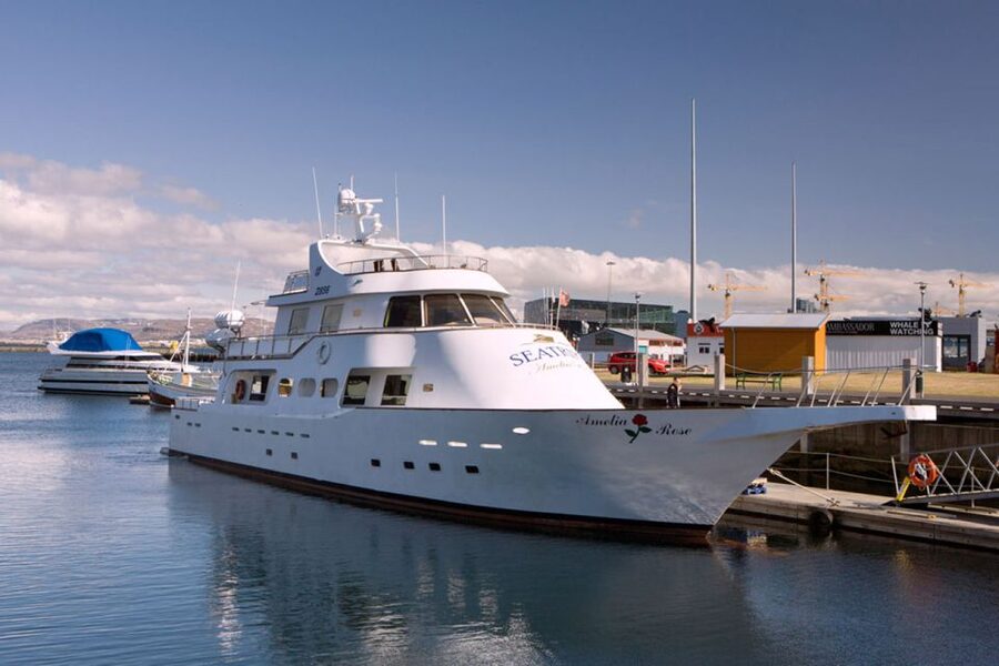 Reykjavik: New Years Fireworks Midnight Cruise - Yacht Comfort, Onboard Bar, and Free Wi-Fi: The Real-Life Details