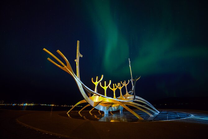 Reykjavik: Northern Lights Comfort Coach with Surprise - Hot drinks and the comfort factor during cold waits