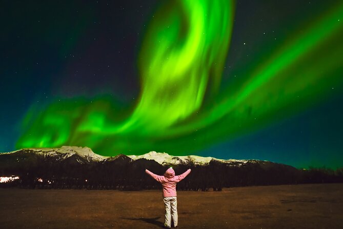 Reykjavik: Northern Lights Comfort Coach with Surprise - Two viewing locations, and why that matters