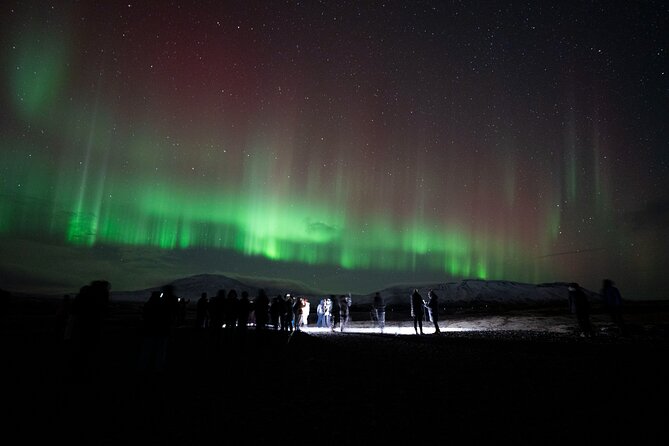 Reykjavik: Northern Lights Comfort Coach with Surprise - When the sky does not cooperate: refunds, rebooking, and expectations
