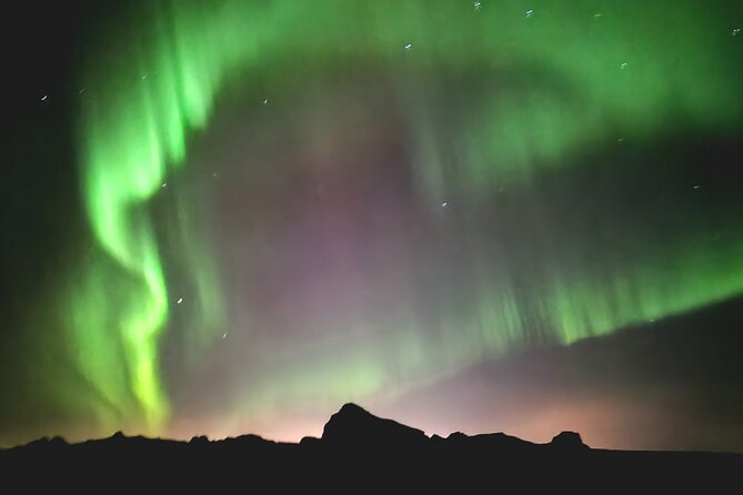 Reykjavik Northern Lights Evening Adventure Guided Tour - Key Highlights You Should Know Before You Go