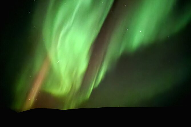Reykjavik Northern Lights Evening Adventure Guided Tour - Why a Reykjavik Northern Lights Bus Tour Makes Sense