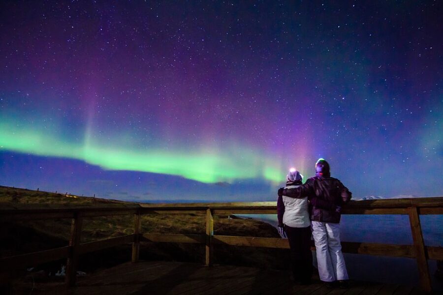 Reykjavík: Northern Lights Minibus Tour with Photos - Price and value: what $102 gets you in Iceland timing