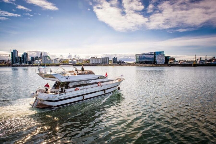Reykjavik: Northern Lights Motor Yacht Cruise - Group size: the difference between MY Harpa and MY Amelia Rose