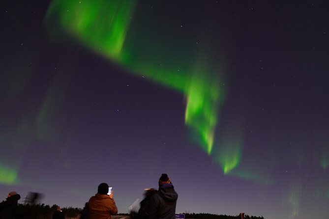Reykjavik Northern Lights Tour with Pro Aurora Photos Small Group - Weather reality: when you need patience (and retries)