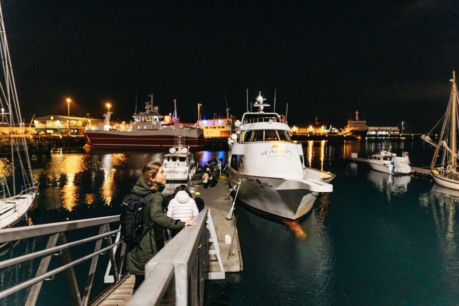 Reykjavik: Northern Lights Yacht Tour - Photos on a Moving Yacht: Getting Better Results