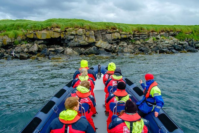 Reykjavik Premium Puffin tour | Close Up and Personal - The Lundey stop: what close-up puffin viewing really means