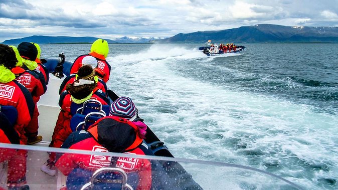 Reykjavik Premium Puffin tour | Close Up and Personal - Price and value: is $85 for a one-hour puffin tour fair?