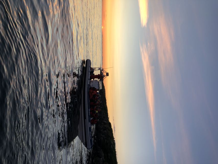 Reykjavik: Premium Whale and Puffin Watching Evening Tour - If you miss whales: the free re-ride safety net