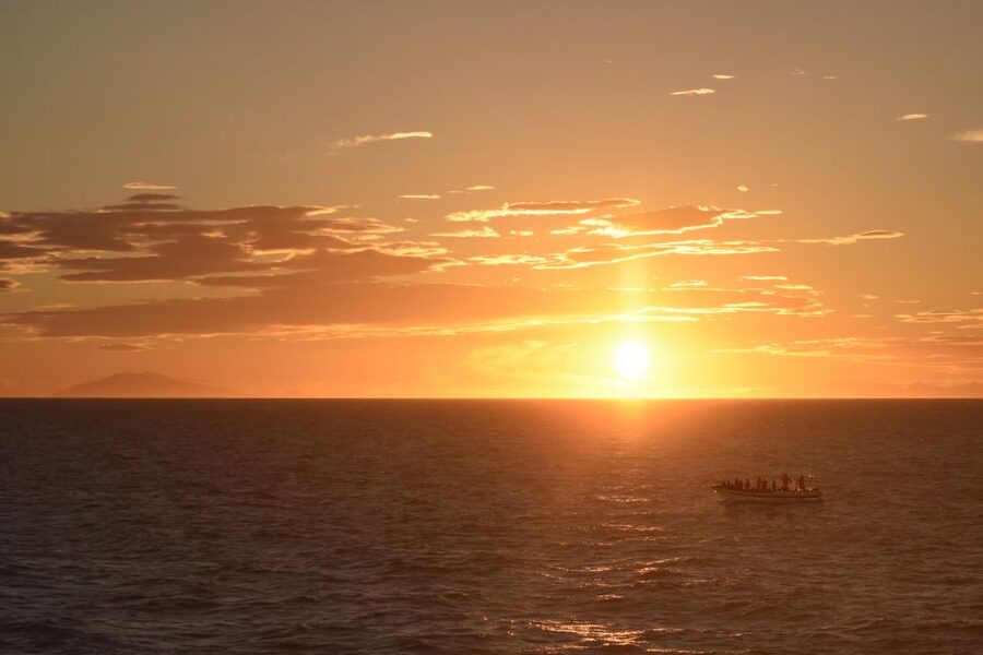 Reykjavik: Premium Whale and Puffin Watching Evening Tour - From Old Harbour to open water, fast and controlled