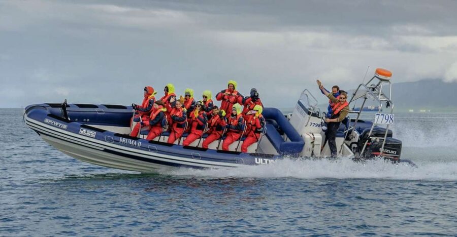 Reykjavik: Premium Whale Watching with Flexible Ticket - Reykjavík Old Harbour, RIB Speedboat, and the Start Line Feeling