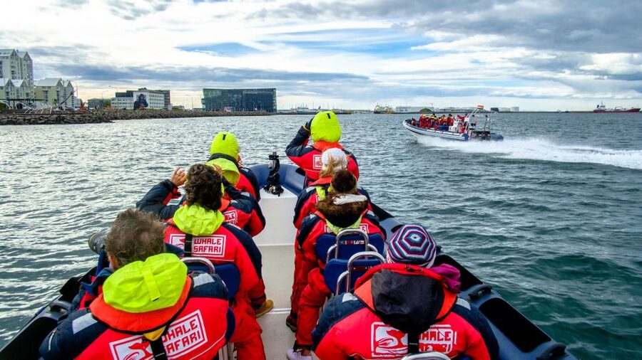 Reykjavik: Premium Whale Watching with Flexible Ticket - Price and Value: Is $202 Worth It?