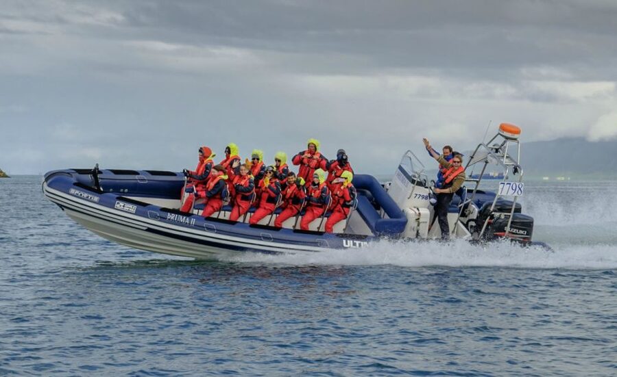 Reykjavik: Premium Whale Watching with Flexible Ticket - What You’ll Actually Be Searching For in Faxaflói Bay