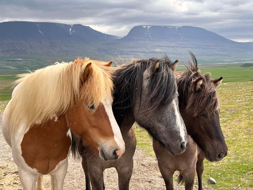 Reykjavik: PRIVATE Golden Circle tour with 5 TOP stops - How Olga’s guiding style affects the whole day