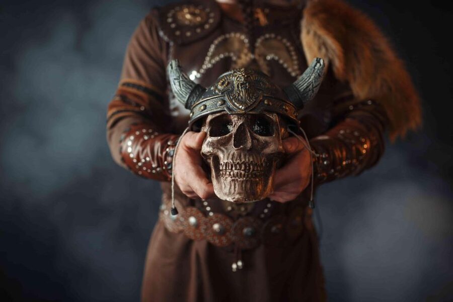 Reykjavik: Private Icelandic Viking Age Walking Tour - Price and value: what $407 per person is really buying