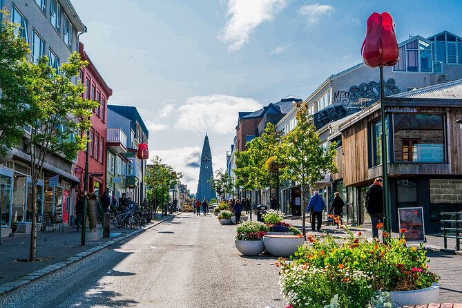 Reykjavik Private Walking Tour With A Professional Guide - Kolaportio Reykjavik and Old Harbour: A Quick Hit of Local Color