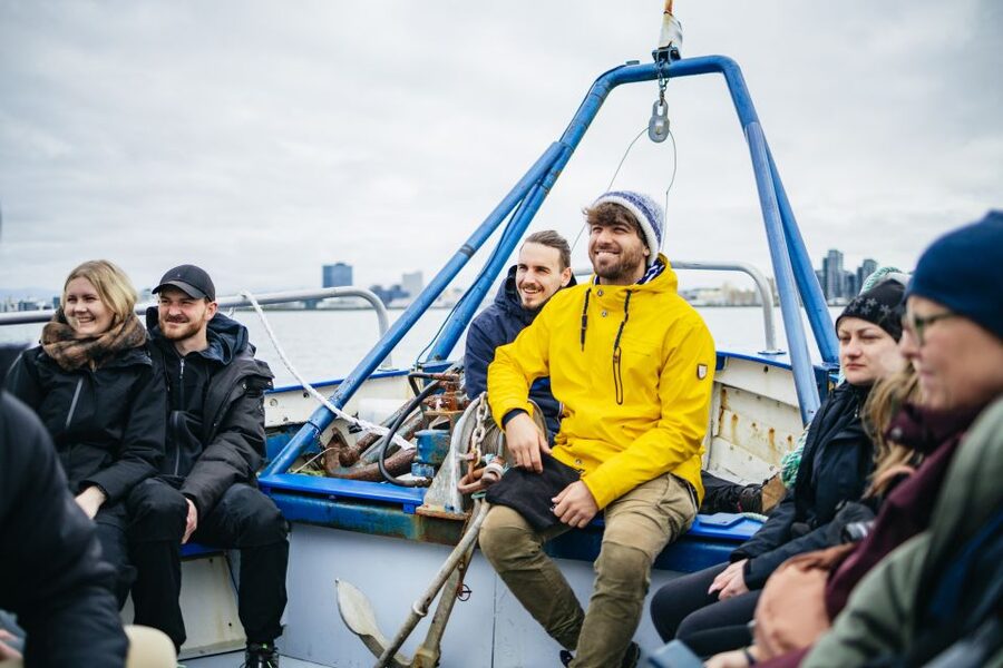 Reykjavik: Puffin Watching Boat Tour - Should you book the Puffin Express puffin watching boat tour?