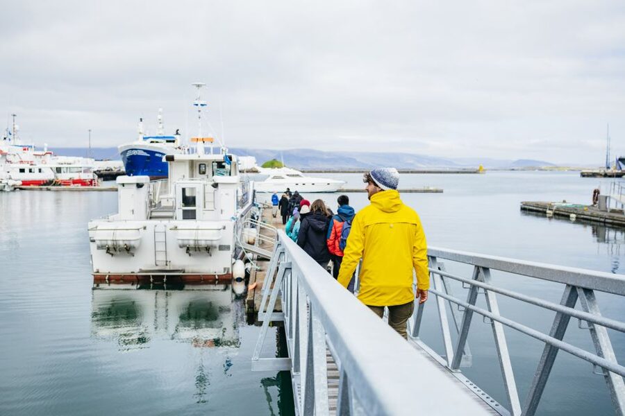 Reykjavik: Puffin Watching Boat Tour - Photos, videos, and binocular habits that actually help