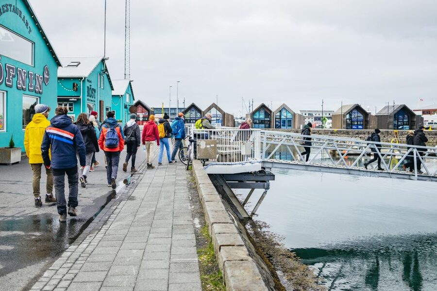 Reykjavik: Puffin Watching Boat Tour - Price and value: is $64 for one hour worth it?