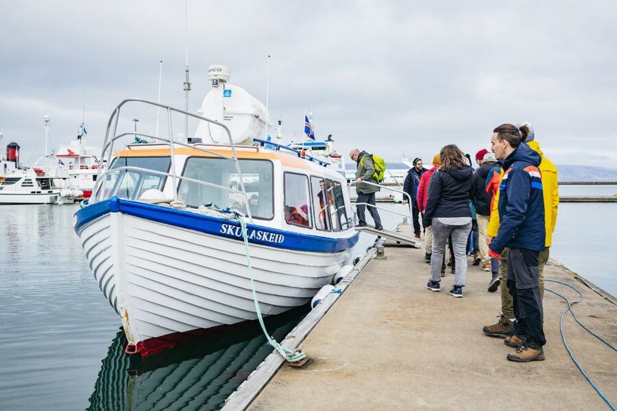 Reykjavik: Puffin Watching Boat Tour - Who should book this puffin boat, and who may want to rethink it