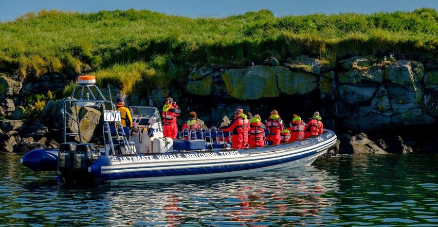 Reykjavik: Puffin Watching Tour - Key things I’d prioritize on this puffin watching tour