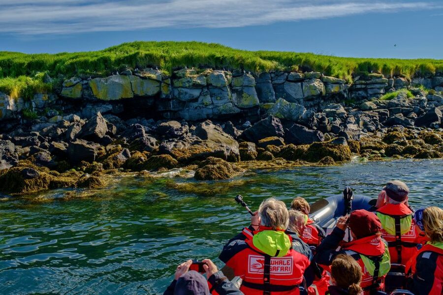 Reykjavik: Puffin Watching Tour - Who should book this Reykjavik puffin tour by RIB
