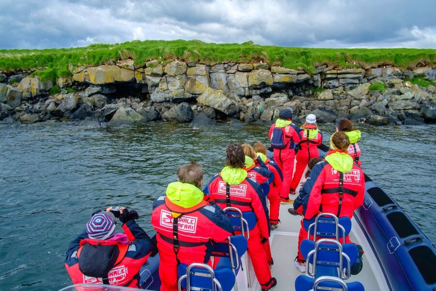 Reykjavik: Puffin Watching Tour - The crew matters: live biologist guide, plus a captain who knows the bay