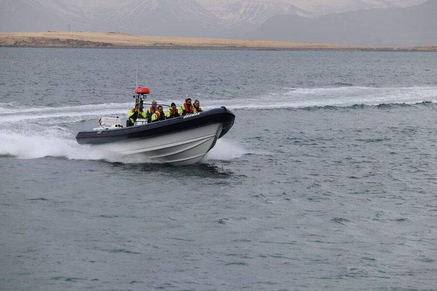 Reykjavik: Puffin Watching Tour by RIB Speedboat - Price and Value for an 1-Hour RIB Tour