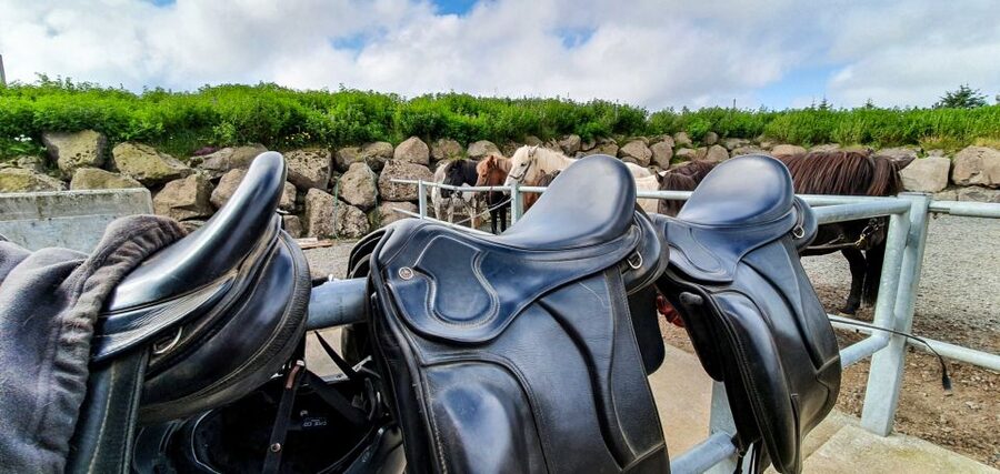 Reykjavik: Red Lava Horse Riding Tour - When You Go Faster: Tölt Sessions and Ride Control