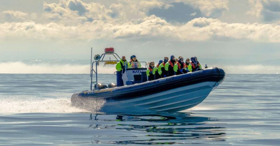 Reykjavík: RIB Speed-Boat Puffin Watching Tour - Riding out fast: RIB speedboat, suspension seats, and Harpa from sea
