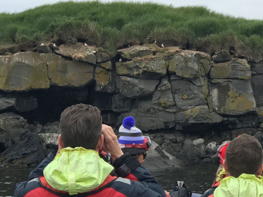 Reykjavík: RIB Speed-Boat Puffin Watching Tour - The ride length: what 1 hour gives you, and what it cannot