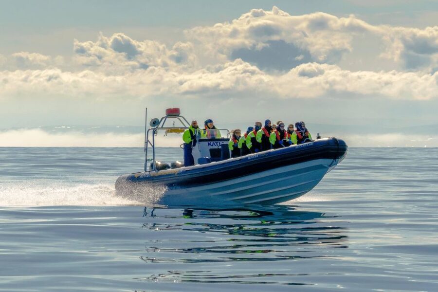 Reykjavík: RIB Speed-Boat Puffin Watching Tour - What you really get for about $81