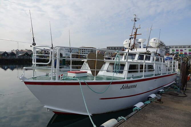 Reykjavik's Finest Catch: Guided Sea Angling Tour for All Levels - Secret Fishing Spots and Real Coaching for Beginners (and Better Days for Pros)