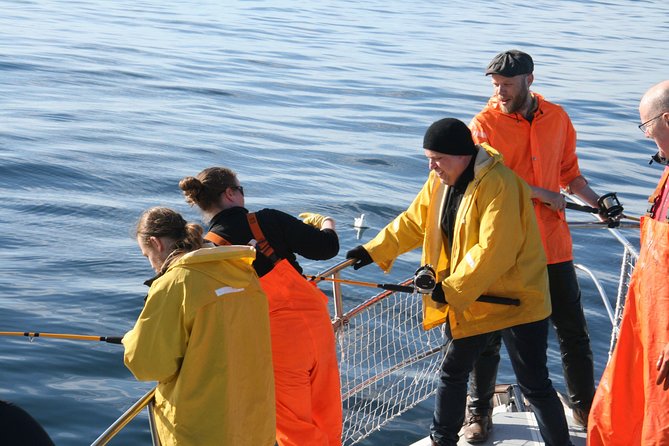 Reykjavik Sea Angling Gourmet - Pricing and value: is $160 worth it?