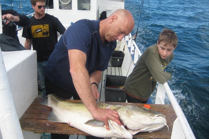 Reykjavik Sea Angling Gourmet - What the 3 hours at sea actually feels like